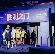 王选杰大成拳养生桩全部视频