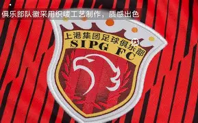 上海上港的比赛 上海上港的比赛